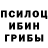 Псилоцибиновые грибы Magic Shrooms Andrey Neborski