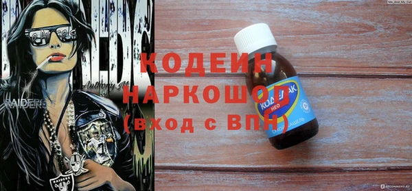 индика Арсеньев