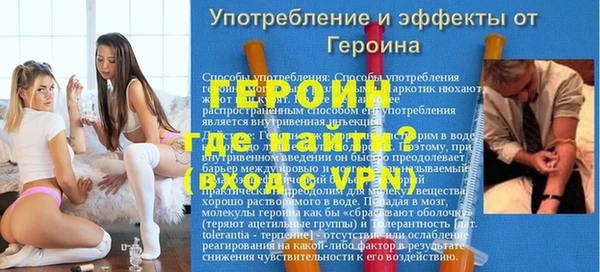 индика Арсеньев