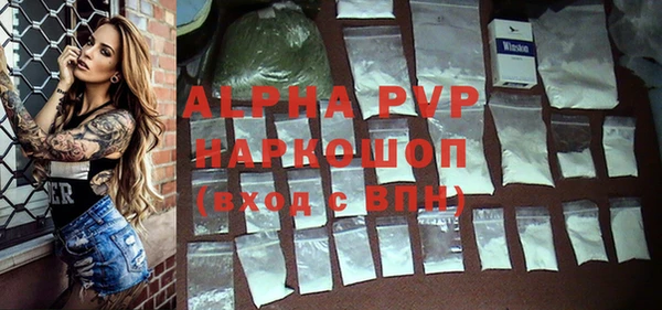 индика Арсеньев