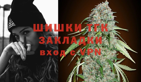 индика Арсеньев