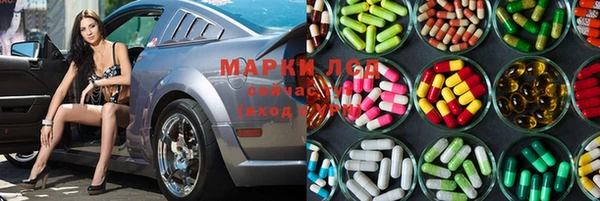 индика Арсеньев