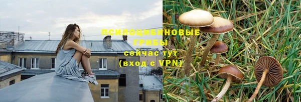 индика Арсеньев