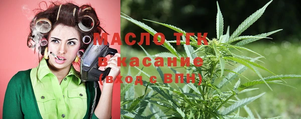 индика Арсеньев