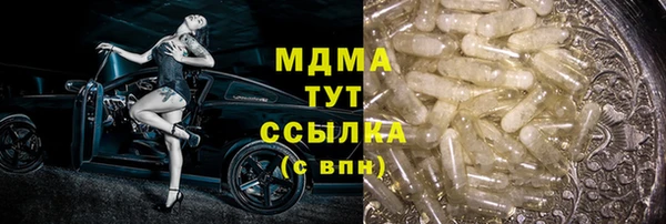 индика Арсеньев