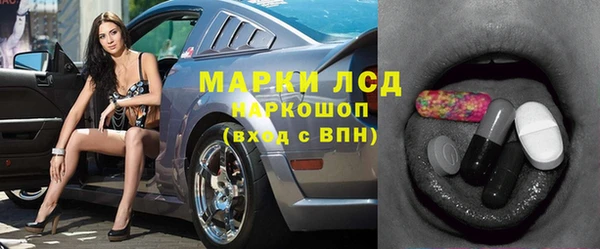 индика Арсеньев