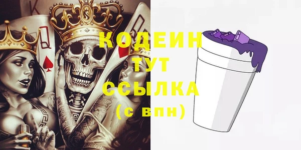 индика Арсеньев